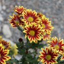 구방마루 이미지