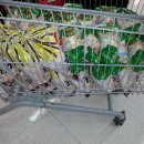 비단꽃향기에서 야채판매기금으로 육아원에 닭70마리 후원~ 이미지