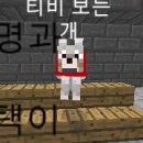 티피마인 네이버블로그