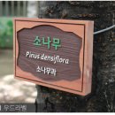 가연디자인 이미지