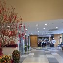 구룡 | 홍콩 가성비 호텔 추천｜몽콕 도보 10분 서밋 뷰 구룡 숙박 후기