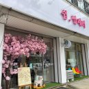 워시팡팡셀프빨래방 일동점