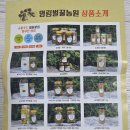 영림식품