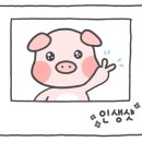 스튜디오드엘리 이미지