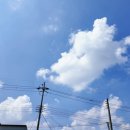 승철이네칼국수 이미지