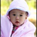 보경 이미지