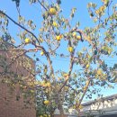 노벨다방 이미지