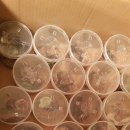 채연농장 이미지