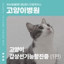 마석동물병원 이미지