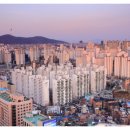 금탑공인중개사 이미지