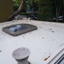 프로카워시 이미지