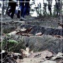 나라4호 이미지