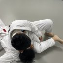 아트주짓수레슬링