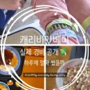 글로잉베이