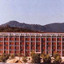 디자인대진 이미지