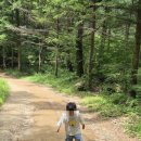 문경세재 | 경북 문경 아이와가볼만한 여행지 문경대표여행지"문경세재" 다녀왔어요^^