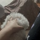 주)복토 농업회사법인 네이버블로그