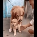 아이구컴퍼니