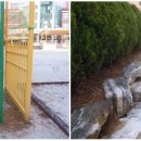 목포청호초등학교 이미지