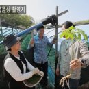 송연농장 이미지