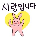 산야초 닭한마리 이미지