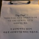 도그데이즈 | 동명동 칵테일바 도그데이즈(DOGDAYS) 후기ㅣ분위기 좋은 조용한 와인바 추천