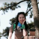 2016년 6월 29일 (수) 울산 남산 야간산행 이미지