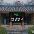 안성향교 벚꽃길에서 만난 뜻밖의 평온함