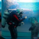 ㈜경포아쿠아리움 이미지