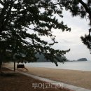 송호 투어코리아