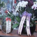 에듀세탁 이미지