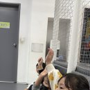 레인보우줄넘기&합기도양우관 네이버블로그