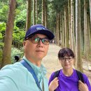 주식회사 보성녹차인 1공장 | 6월에 푸르름, 보성 가볼 만한 곳, 보성 녹차밭 대한 다원.