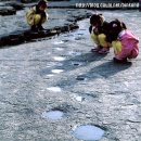 공룡화석지 이미지