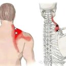 성서교통 이미지