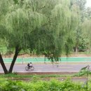 능수버들공원 화장실 이미지