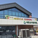 세종전의묘목협동조합 | 🌳 세종, 나무와 사랑에 빠진 도시… &#39;제18회 세종 전의 묘목축제&#39; 성황리 개최