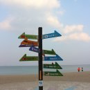 정든다방 이미지