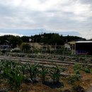 농협승강장 이미지