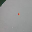 골목새우 이미지