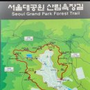 4월9일(수) 서울대공원 벚꽃길&amp; 산림욕장 이미지