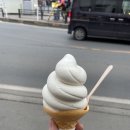 샹떼 코인 | 일본 여행(3박 4일)-시즈오카(가와구치코 절망편)