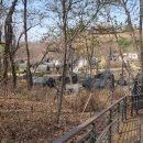 일자산공원 유아숲체험원 이미지