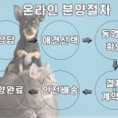 이쁘개 건강하개 네이버블로그