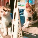 은경농장 이미지