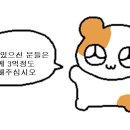 엘라이팅