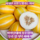 야채만 보면 도망가는 아이 성주참외 하나로 달라진 우리 집 식탁 이야기