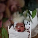 디자인텍 이미지