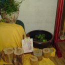 민들레유치원 이미지