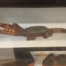 부림생오리 이미지